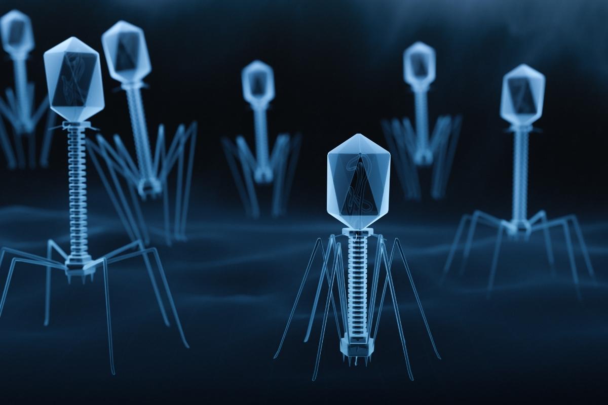 Bacteriophages pros and cons